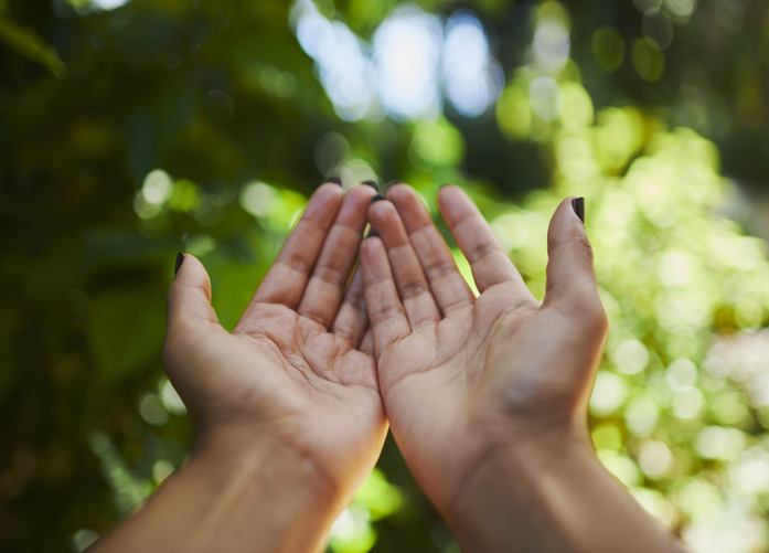 Gratitude and inner peace in nature