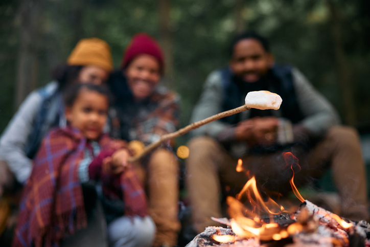 ways to celebrate fall - Close up of roasting marshmallows over a campfire!